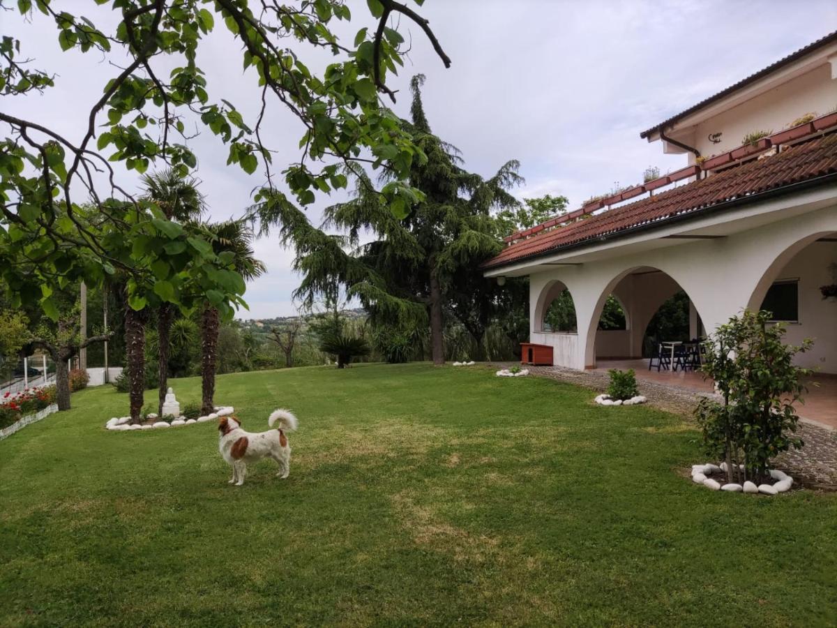 "Cara Pace" In Collina Per Famiglie Bed and Breakfast Montefiore Conca Εξωτερικό φωτογραφία