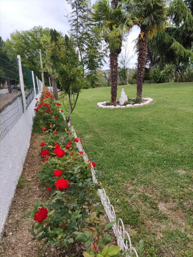 "Cara Pace" In Collina Per Famiglie Bed and Breakfast Montefiore Conca Εξωτερικό φωτογραφία